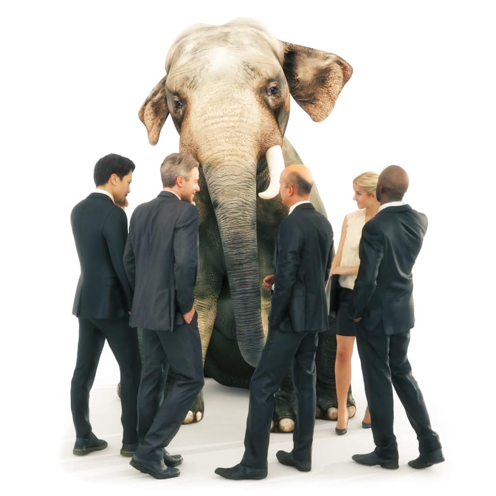 3 Essential Elements That Will Turn Your Reps into Brand Ambassadors ByDesigns elephant