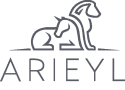 arieyl logo bydesign technologies