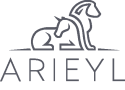 arieyl logo bydesign social commerce